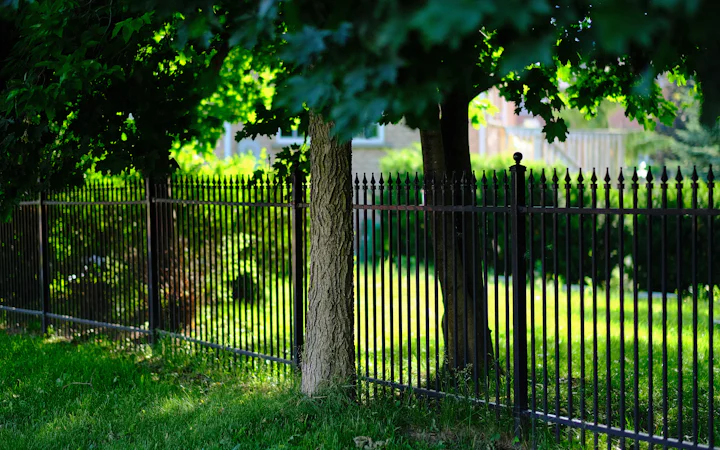 Metal and ornamental fences