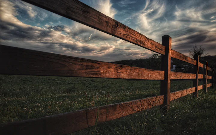 Fence repair and replacement